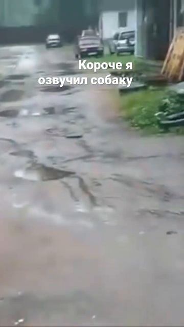 Был тузик стал контузик смотреть онлайн