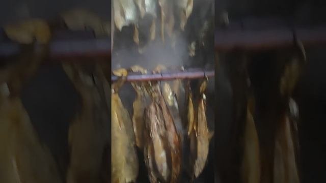 Холодное Копчения Осеннего Жереха в домашнихусловиях