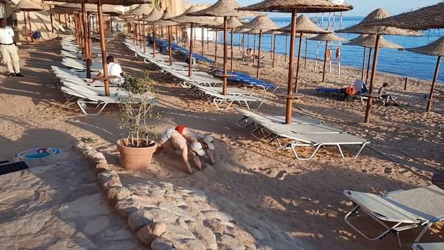 Египет Jaz Fanara Resort 02 2021 прекрасный  отдых  с детьми 