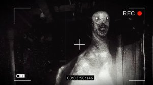 SCP-3199 Двуногие без перьев #SCP