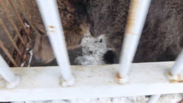 Тоня вышла погулять смотреть онлайн