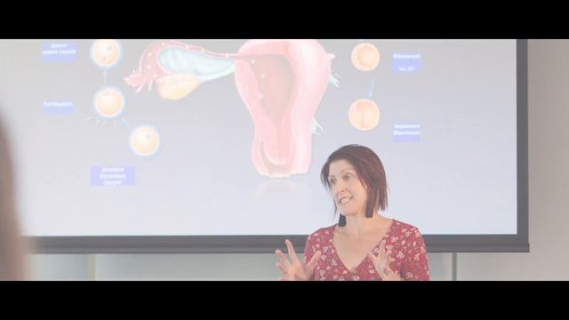 Human Reproduction