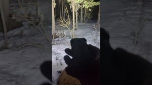 Поход в избу в Карелии на Онежском озере.