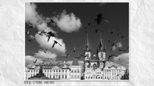 Я не думал, что мне понравится Fujifilm GFX100RF