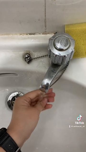 Met makan sore, guys! 😆 #arthacat #cats #kucing #shorts | Arthacat Indonesia смотреть онлайн