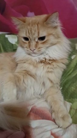 Кусь-кусь 😸💕