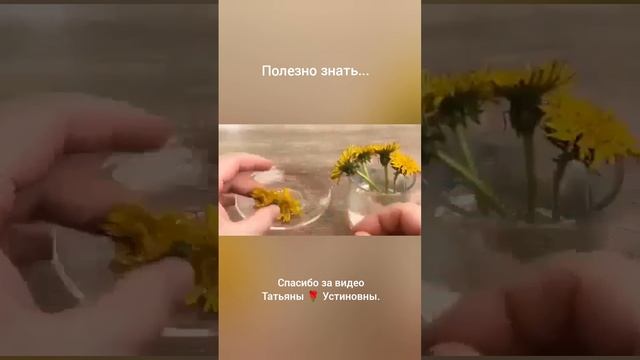Для души и для здоровья.