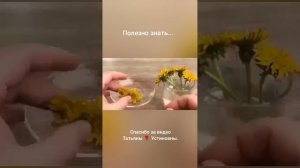 Для души и для здоровья.