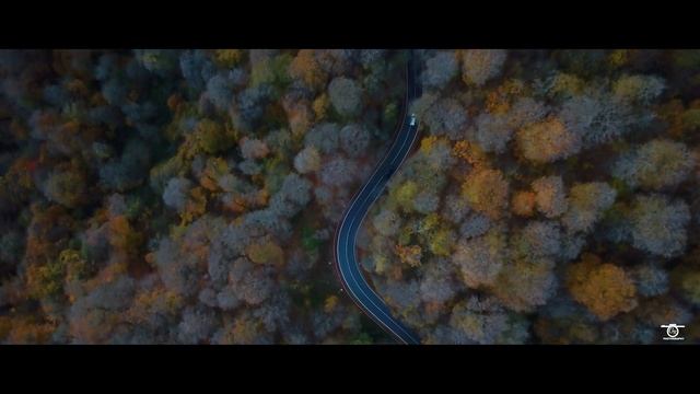 სიონის ტბა / საბადურის ტყე - Sioni Lake / Forest Sabaduri смотреть онлайн