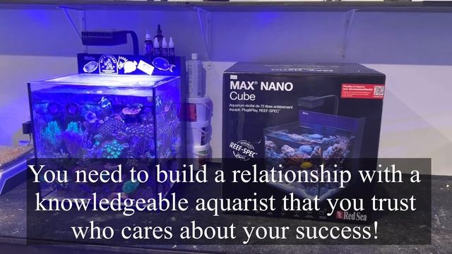 Learn with what you can afford to crash! Starting a reef tank with Paul Talbot