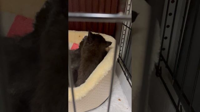 11-04-2025 смотреть онлайн