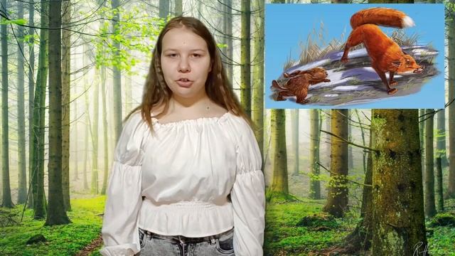 "Лисица и сурок" смотреть онлайн