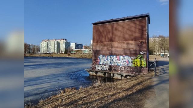 Обзор Vivo Y04  новичок начального уровня от Виво. Берём? Или ищем другое?