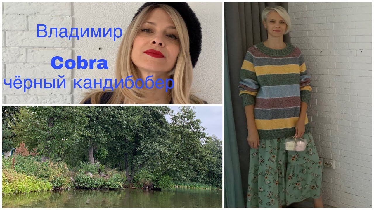 Про новый полосатик,красивый Владимир и реорганизацию