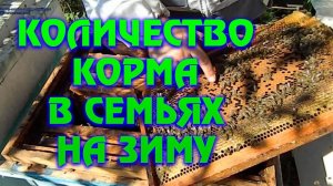 Осмотр семей на наличие кормов в зиму.  Формирование клуба в семьях на теплый занос.
