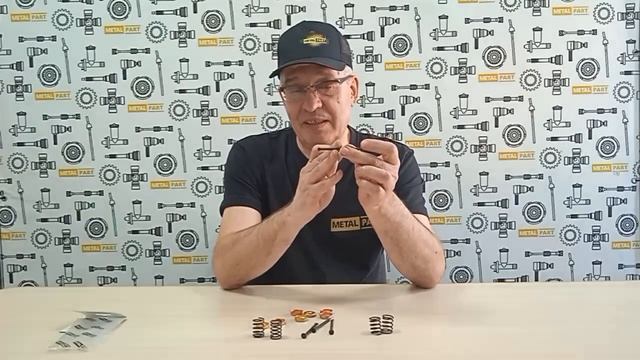Комплект ремонтный крепления задних тормозных колодок для автомобилей ПАО “ГАЗ” ГАЗель, Соболь