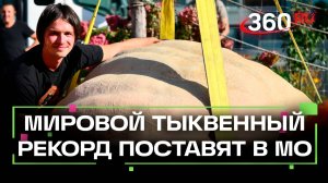 Самую большую в мире тыкву готов вырастить агроном из Подмосковья