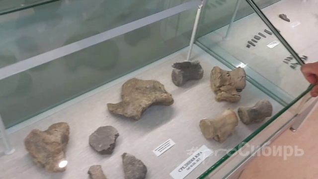 Палеоэкскурсия в Шарыповский район. Первый почти полный скелет стегозавра в России смотреть онлайн