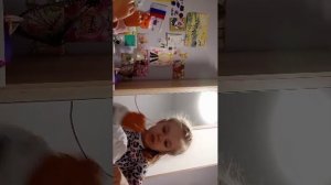 влог