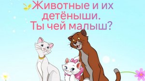 Учим животных. Мамы и их детеныши. Семьи животных. Обучающее развивающее видео мультфильм