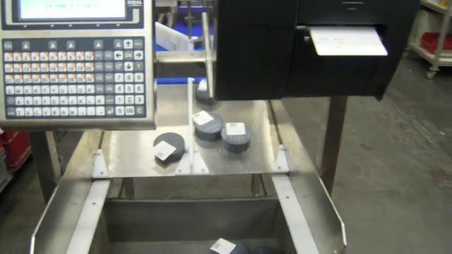 Dibal LS 4000 смотреть онлайн