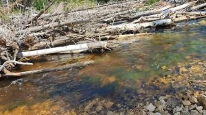 сплав по горной реке в дикой тайге.