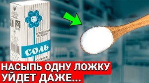 1 РАЗ ПОПРОБОВАЛ - УДИВИЛСЯ, добавил Просто СОЛЬ.... избавился даже от......