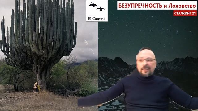 Безупречность или Пазёрство