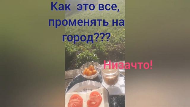 Vlog: моменты из жизни. Гуляем. Ксюша накормила нас блинами.