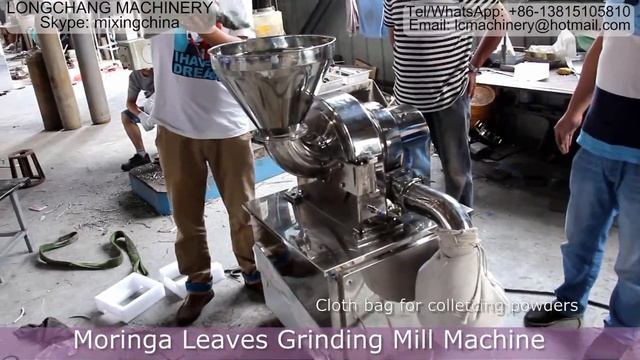 Dry Moringa leaves Grinding/Milling Mill machine(moringa grinder/moringa powdering) смотреть онлайн