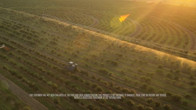 Nutrition Needs: Immunity | Nutrilite смотреть онлайн