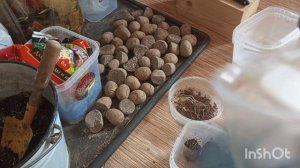 ДЕРЕВЕНСКАЯ ЖИЗНЬ. РАССАДА, ПОСАДКИ ,УКОРЕНЕНИЕ.