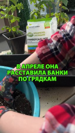Как соседка избавилась от вредителей на даче