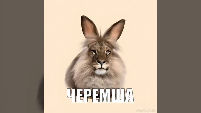 y que fue смотреть онлайн