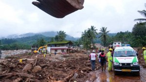 Почти 100 человек погибли из-за ударов молний и дождей в Индии и Непале