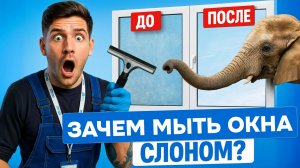 СЛОН против РАЗВОДОВ. Как моют окна ПРОФЕССИОНАЛЫ
