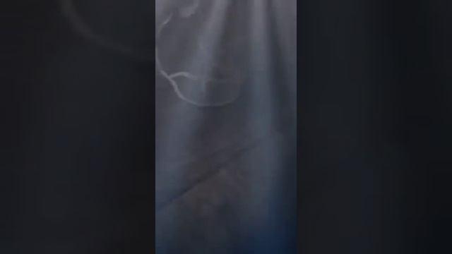 Муля и её новая и весёлая игрушка смотреть онлайн