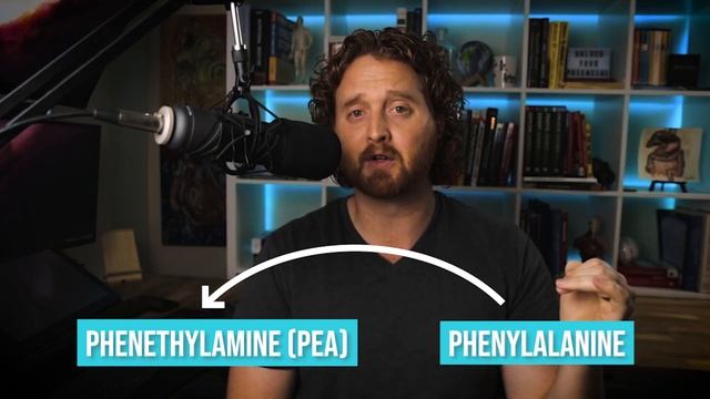 Phenylalanine Exposed | Surprising Side Effects and Benefits! смотреть онлайн