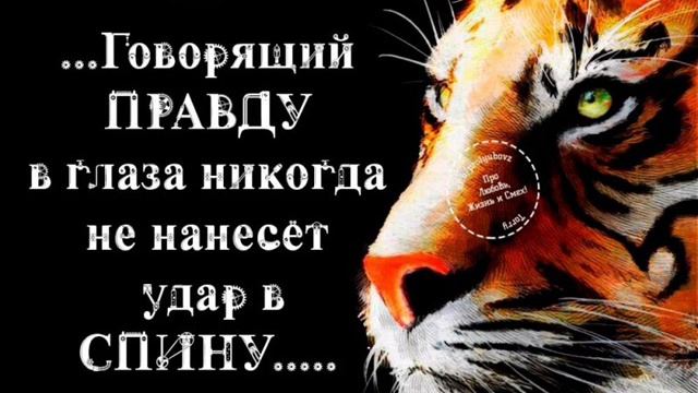 Размышление КТО БОИТСЯ ПРАВДЫ?