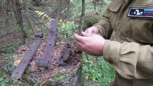 Госпиталь в лесу. Интересные находки.