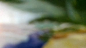 Степь да степь кругом путь далек лежит,в той степи глухой замерзал ямщик(наброски)