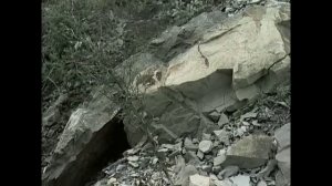 гр. 13 -е созвездие " Десятый наш десантный батальон"