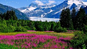 Не разлюбившие жестоки