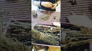 Програмные свечи. Свечная магия. Каие травы и масла идут на свечу "Изобилие"