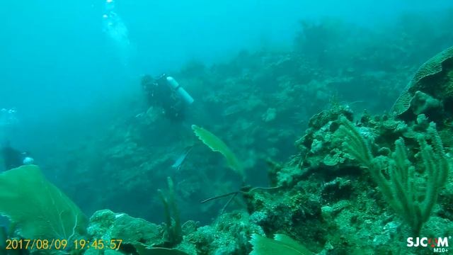 Дайвинг на Каррибах.Белиз.Амбергрис.Марлин-мечта любого рыболова.Август2017 смотреть онлайн