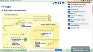 Биохимия Кольман Рём Биомолекулы Липиды