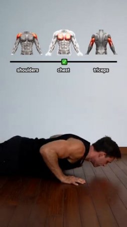 Push up variations ✅
