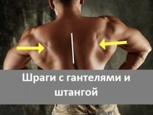 Как накачать трапеции - шраги со штангой и гантелями