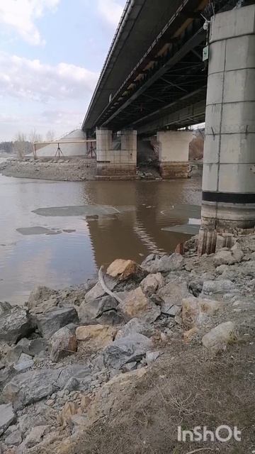 Река БЕРДЬ под мостом 11.04.2025