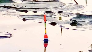 РЫБАЛКА НА ПОПЛАВОК. ЛОВЛЯ ЛИНЯ на Поплавок